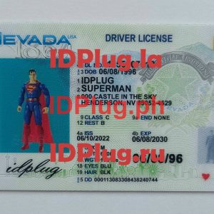 NEVADA NEW